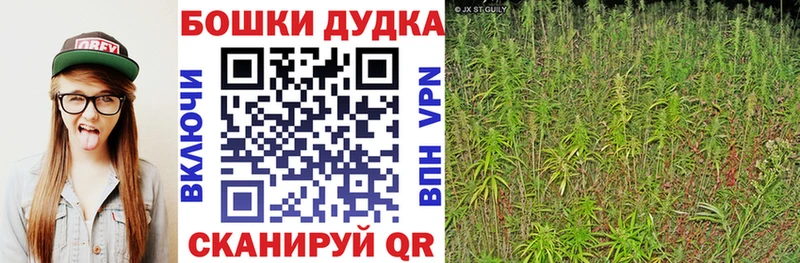 Где купить Чебаркуль Бошки Шишки  Амфетамин  Гашиш  Мефедрон  A-PVP 