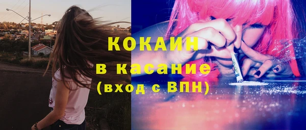 эйфоретик Аркадак