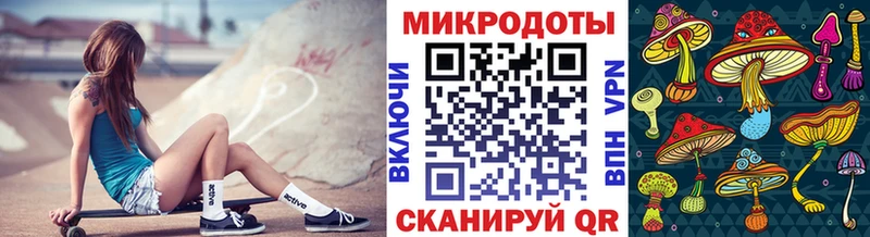 Галлюциногенные грибы MAGIC MUSHROOMS  кракен маркетплейс  Чебаркуль  дарнет шоп 